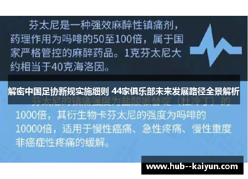 解密中国足协新规实施细则 44家俱乐部未来发展路径全景解析 解密中国足协新规实施细则 44家俱乐部未来发展路径全景解析