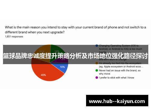 篮球品牌忠诚度提升策略分析及市场地位强化路径探讨